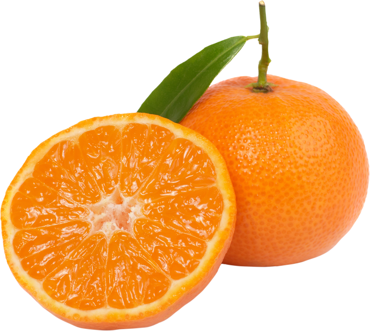 Orange mandarin